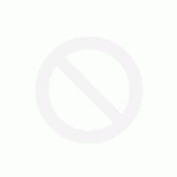 Kartonpp