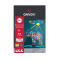 Farebný výkres, A4, mix 10 farieb, 160g, `Šport`